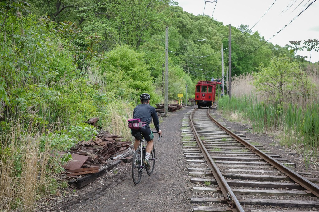 New Haven apizza&nbsp;century