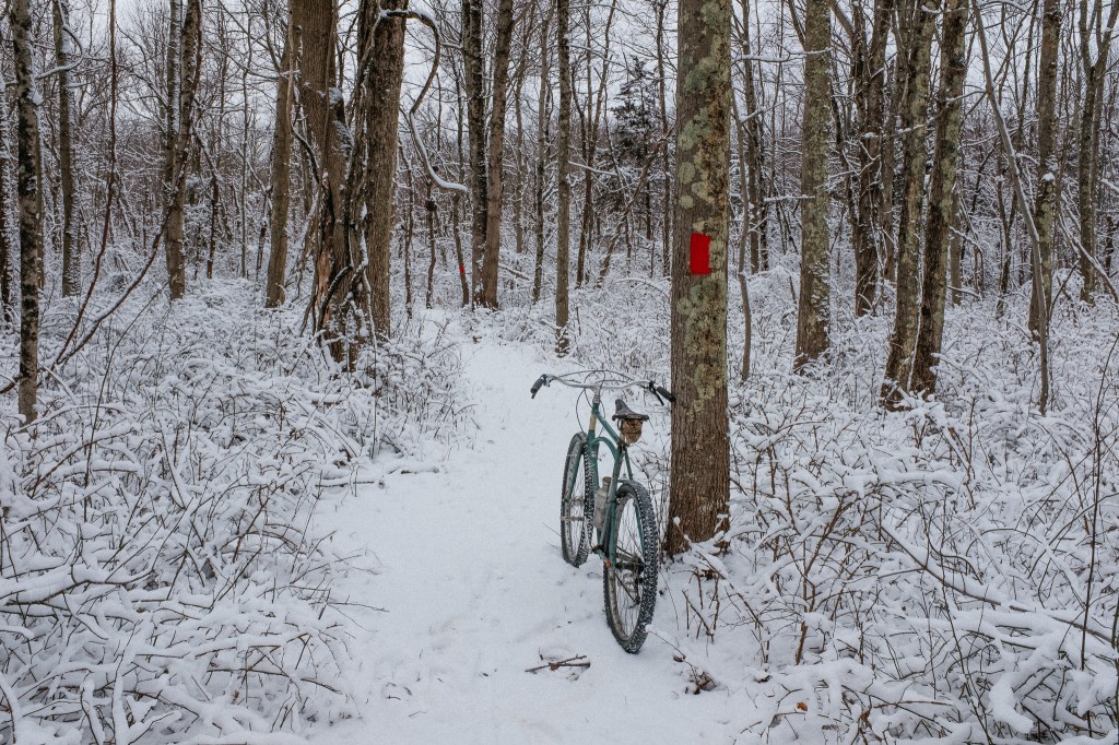 winter day in the&nbsp;life