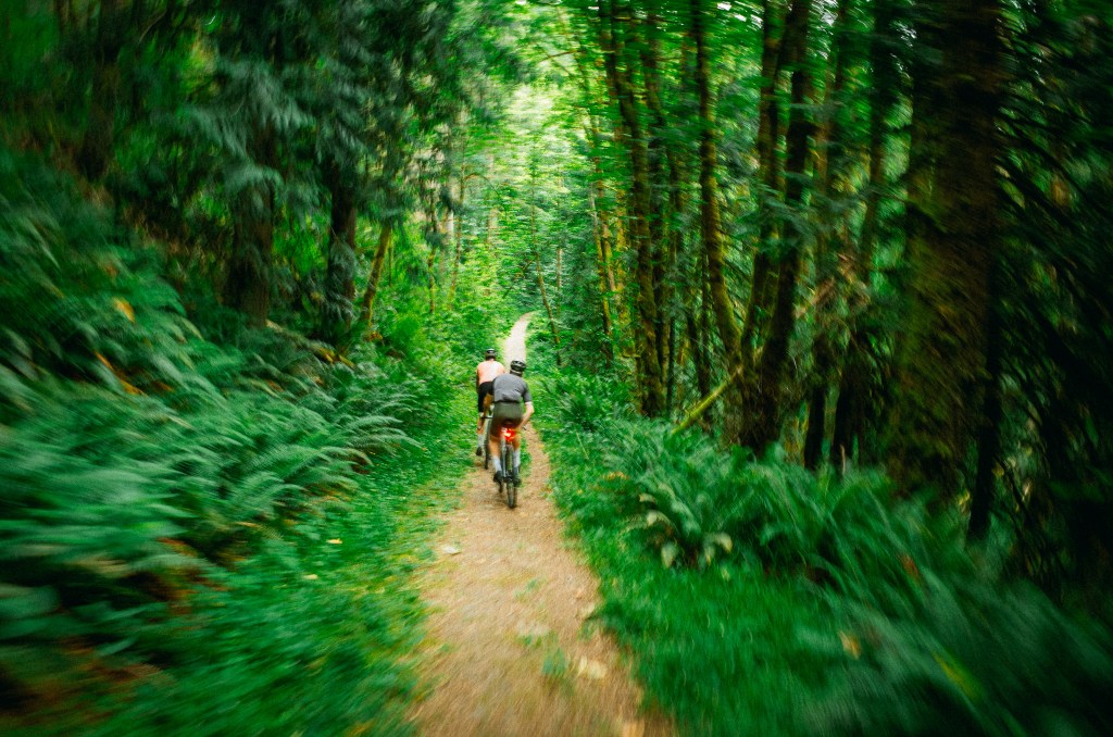 Early summer musings